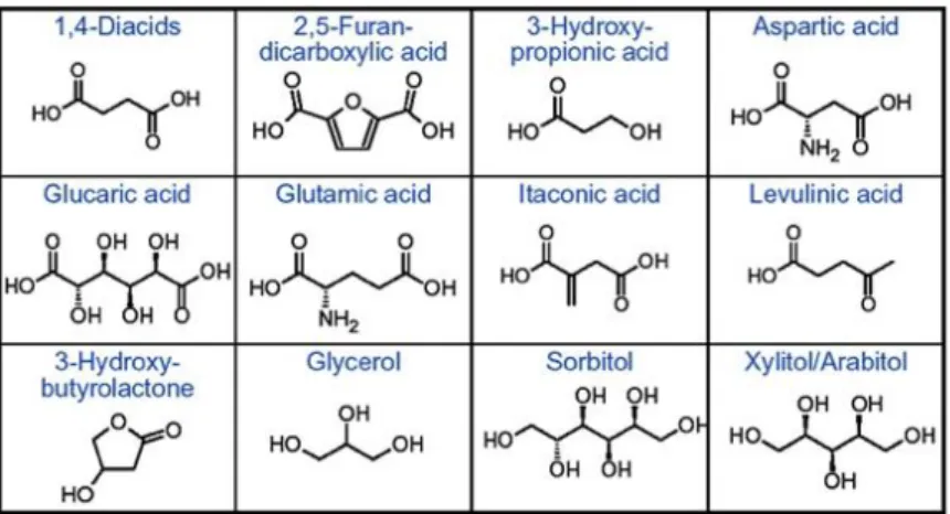 Figura 1-2 Dodici prodotti chimici ad alto valore aggiunto derivanti dai carboidrati. 
