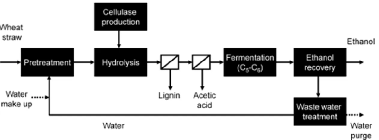 Figura 1-15 Schema di flusso del processo di produzione di etanolo da biomasse lignocellulosiche 