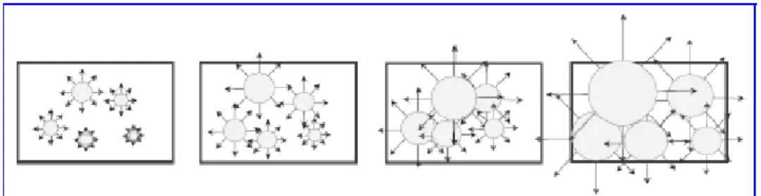 Figura  3.6    :  illustrazione  2d  di  un  metodo  a  “collective  rearrangement”. 