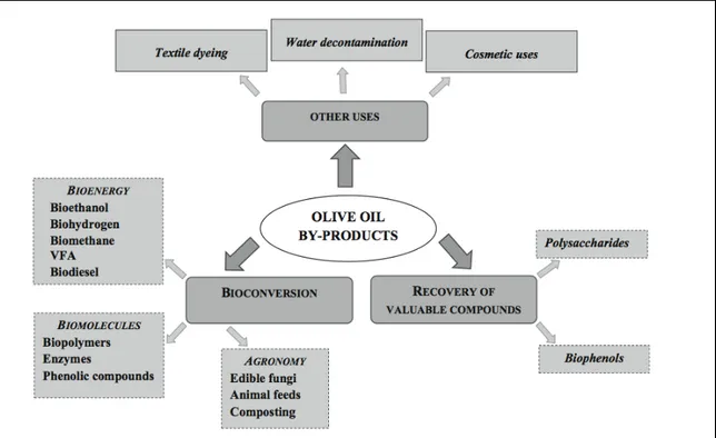 Figura 2: Possibili applicazioni e bioconversione dei sottoprodotti della lavorazione delle olive 