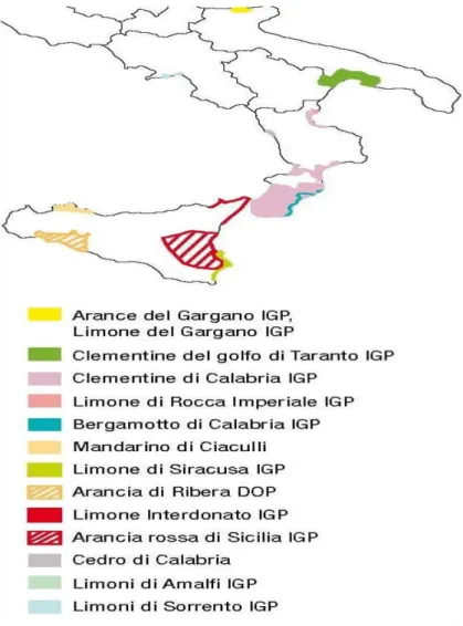 Figura 1.5  Localizzazione delle produzioni agrumicole di qualità DOP e IGP. 
