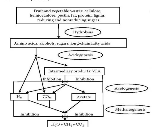 Figura 1.13 Digestione anaerobica di rifiuti da frutta e da verdura. (Bouallagui et  al., Process Biochem., 2005)