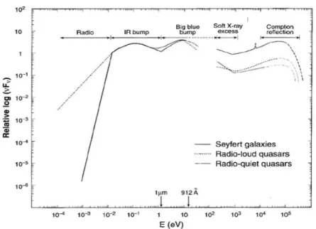 Figura 1.4: Spectral Energy Distribution (SED) di un AGN. La linea continua indica ls SED di una galassia di Seyfert, la linea punteggiata rappresenta la SED di un AGN RL, mentre, la linea tratto-punto è relativa alla SED di un RQQ.