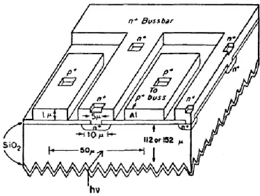 Figura  2.4:  sezione  trasversale  di  una  regione  di  contatto  back-point  in  una  cella  solare al Si vicino ad una bussbar di Al
