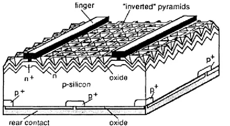 Figura 2.7: schema di un emettitore che ha subito passivazione, rear locally-diffused  cell  (cella  PERL)  che  ha  mostrato  un’efficienza  del  23%  sotto  illuminazione  terrestre  (M.A.Green, Silicon Solar Cells, 1995) 