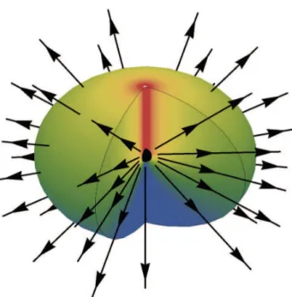 Figura 1: Immagine di un monopolo all'interno di un condensato di Bose-Einstein, [14]