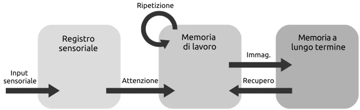 Figura 2.1: Magazzini di memoria, secondo Atkinson e Shiffrin