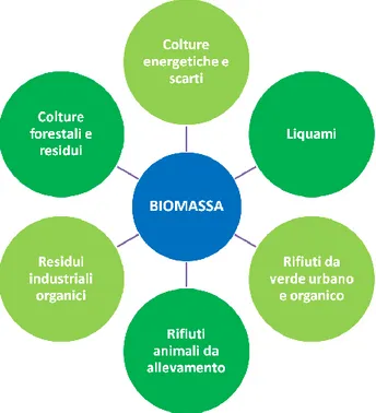 Fig. 1.3 – Esempi di biomasse utilizzabili per le trasformazioni a scopo energetico. 