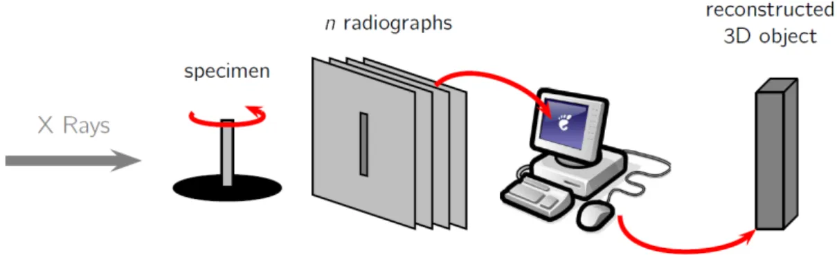 Figure 6 - MicroCT technique. In μCT to produce a three-dimensional CT image, a whole set  of such two dimensional projections need to be acquired