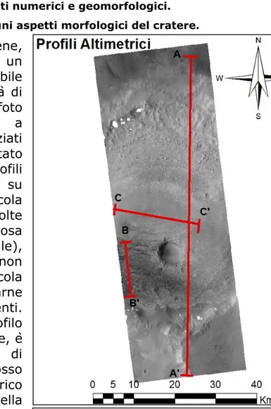 Figura  12-  Serie  di  profili  altimetrici  utili  a  comprendere  meglio la morfologia del terreno dentro il cratere.