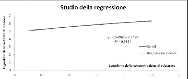 Fig. 3.2 - Logaritmo della velocità specifica di reazione in funzione del logaritmo  della concentrazione molare di saccarosio 
