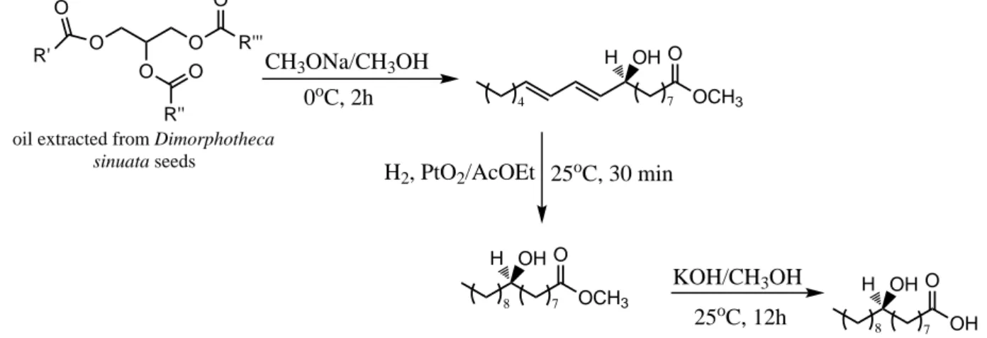 Figure 14: Scheme of the (9R)-9-hydroxystearic acid synthesis from Dimorphotheca sinuata L