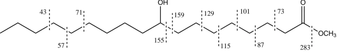 Figure 16: Main cleavage positions seen on the mass spectrum of methyl 9-hydroxystearate.