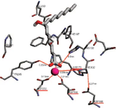 Figure 6: Binding of 9R-HSA to zinc-dependent human HDAC1 protein. 9