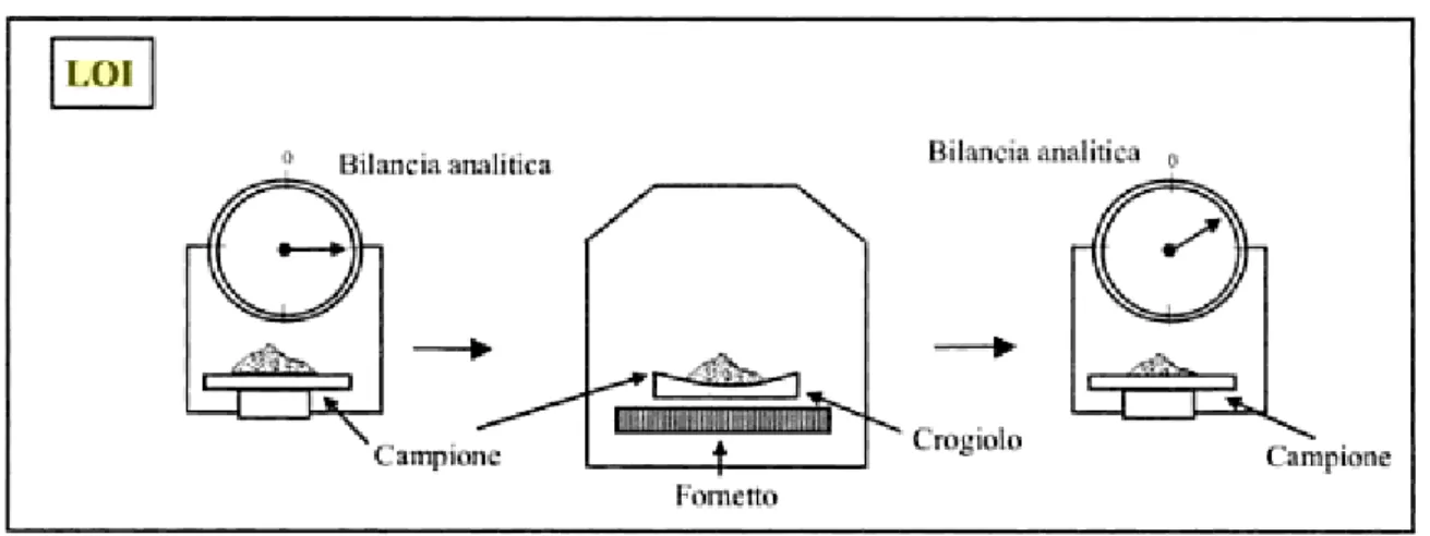 Fig. 13- schema analisi Loi. 