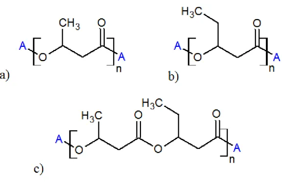 Figura 1.2: Strutture chimiche dei più importanti PHA a) PHB b)PHV c)PHBV 