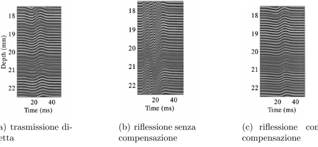 Figura 5.8: Immagine M-mode della propagazione dell’onda trasversale (tratto da [22])