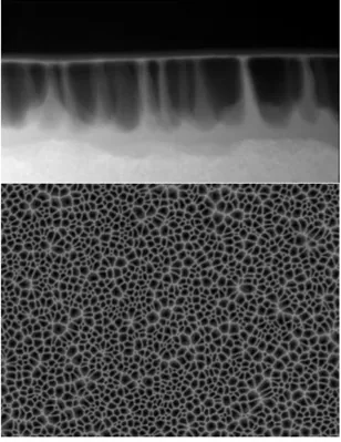 Figura 1.5: Immagine trasversale e planare di una struttura nanoporosa di GeSn. (Transmission Electron Microscopy)