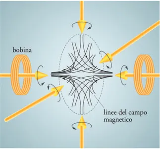 Figura 2.4: Schema di un’apparato per la realizzazione di una 3D MOT. Per produrre la trappola `e necessaria la presenza di un campo  magne-tico tridimensionale del tipo B i = B 0 x i , per farlo si utilizzano bobine in configurazione anti-Helmoltz (da [20