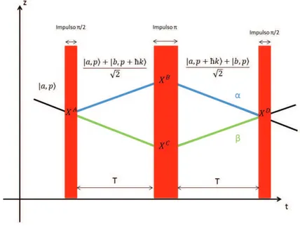 Figura 2.6: Illustrazione schematica di un interferometro π/2, π, π/2 in assenza di potenziali esterni