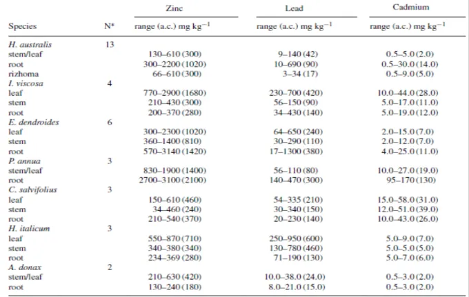 Tabella 5: Range e valori medi di Zn, Pb e Cd presenti nelle diverse porzioni vegetali di alcune  specie erbacee (valori espressi in mg.kg-1)