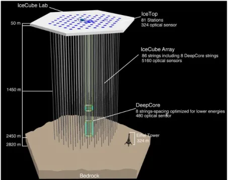 Figura 2.4: Ricostruzione del Telescopio di Neutrini ICECUBE, apparato sperimentale. [ICECUBE Collaboration]