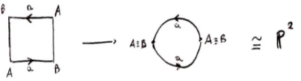 Figura 1.7: Ecco come dal nastro di Moebius si arriva al piano proiettivo
