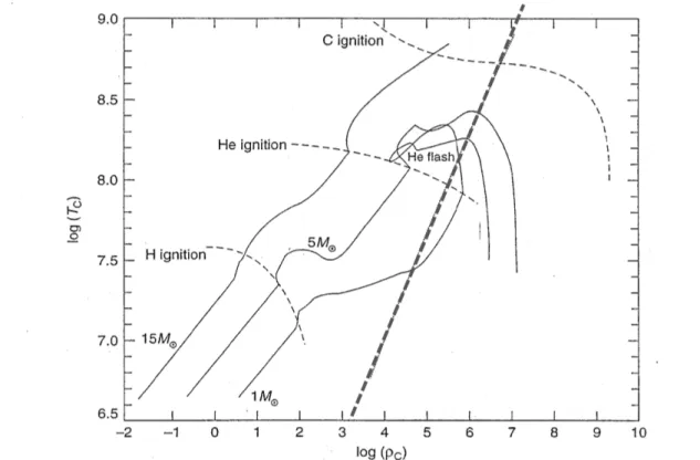 Figura 2.3: Diagramma log ρ−log T che mostra l’evoluzione dello stato della materia nucleare di stelle con massa diversa