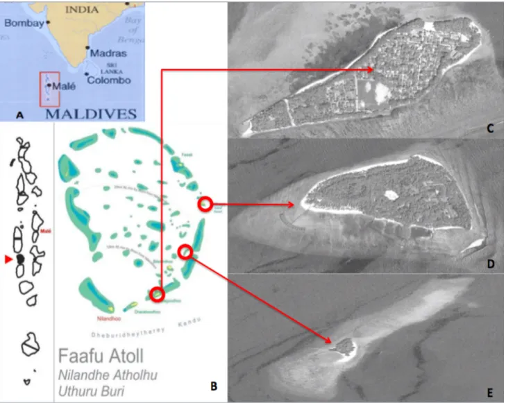 Fig. 3.1.1- Area di studio: A) Repubblica delle Maldive, B) Atollo di Faafu; C) Magoodhoo; D) Filitheyo;   E) Adangau 