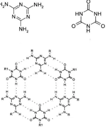 Figura 1.2: Un immagine di due molecole: l’acido cianurico (C 3 H 3 N 3 O 3 ) e la melamina (C 3 H 6 N 6 ), che possono legarsi in un aggregato di Whitesides anche molto complesso (sotto)[7].