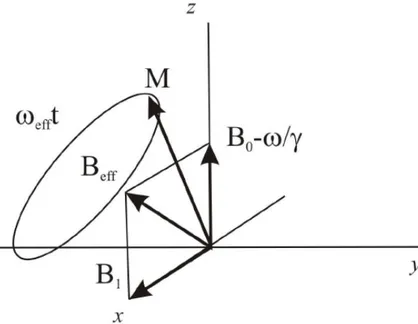 Figure 1.7: Precession of magnetization in the rotating frame when the RF pulse is off-resonant.