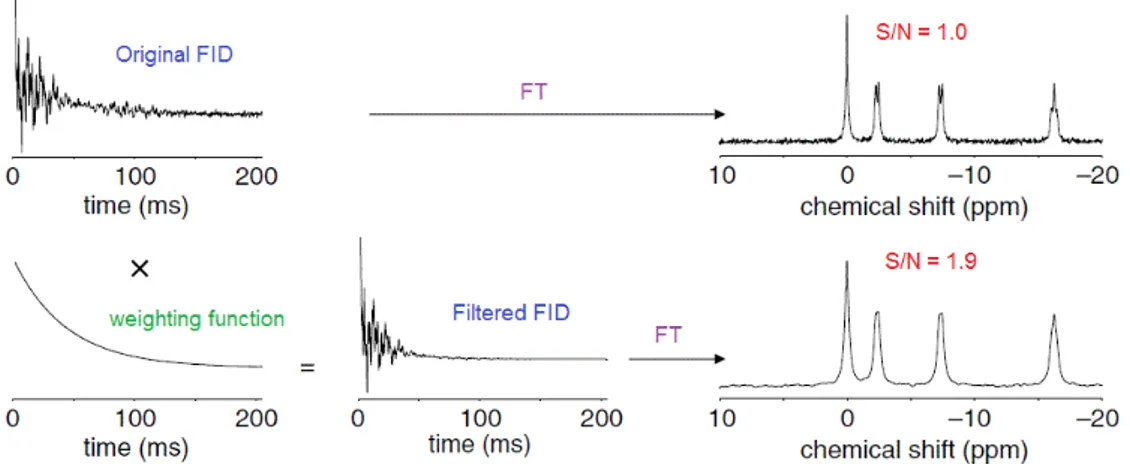 Figure 1.11: Filtering of the FID through weighting function for noise reduc- reduc-tion.