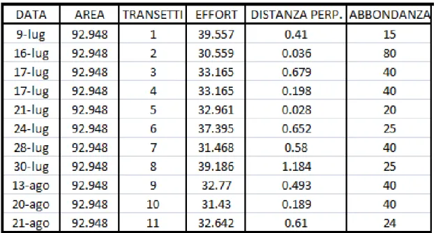 Fig. 2.4.B - Dataset dell'anno 2009 nell'area di Taranto della specie S. coeruleoalba