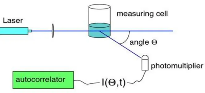 Figura 18: Schema di funzionamento di uno strumento per analisi DLS[42]. 