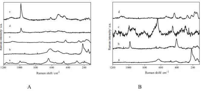 Fig. 43. A- Raman spectra of various corrosion products detected on bow: (a) sampleite, (b)  cuprite, (c) malachite, (d) antlerite, (e) antlerite and posnjakite ; B-(a) cuprite, (b) azurite and 
