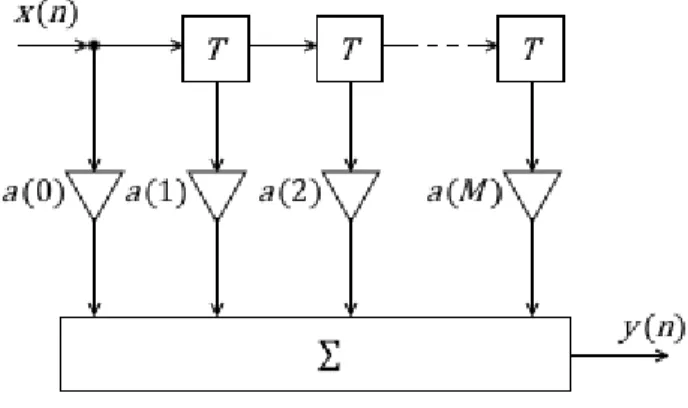 Figura 2.4.2: Schema di un filtro IIR generico