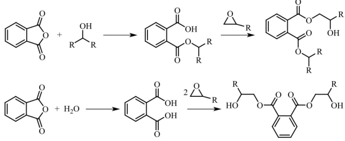 Figura 8: apertura dell’anidride ciclica e formazione di acido carbossilico e reticolazioni 