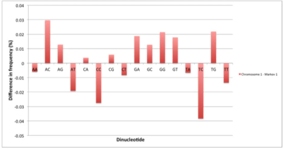 Figure 3.4: Percentage difference in dinucleotide content between the chromosome 1 sequence and a random sequence generated with a  first-order Markov chain.