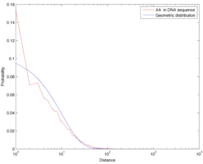 Figure 3.8: Comparison of AA distance distribution in chromosome 1 with the geometric distribution.