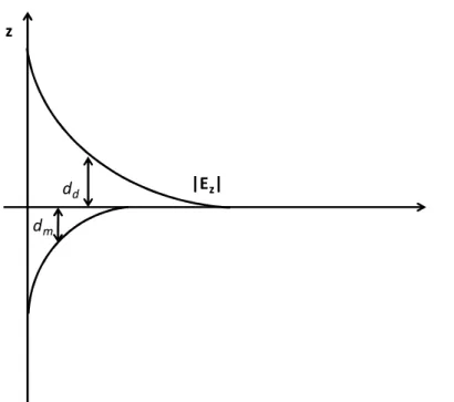 Fig.  3.1:  Le  componenti  del  campo  dei  SPP  decrescono  esponenzialmente  allontanandosi dall’interfaccia