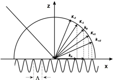 Fig. 5.3: Eccitazione di SPP utilizzando il metodo della griglia di  accoppiamento [27]
