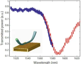 Fig.  5.4:  Eccitazione  di  SPP  che  si  propagano  su  una  guida  d’onda  di  nanoparticelle  metalliche posizionata su una sottile membrana in silicone, con l’utilizzo di una fibra ottica  sulla  sua  superficie