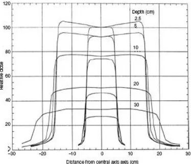 Figura 6: Profili di un fascio di 10 MV per due campi di dimensioni (10 x 10) cm 2  e (30 x 30) cm 2  alle varie  profondità in acqua