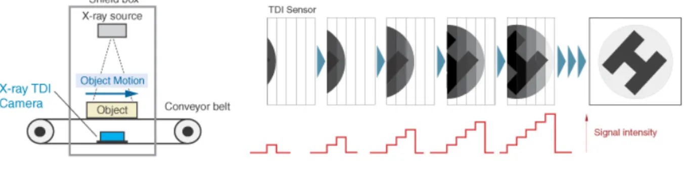 Figura 3-Sensore in modalità TDI 