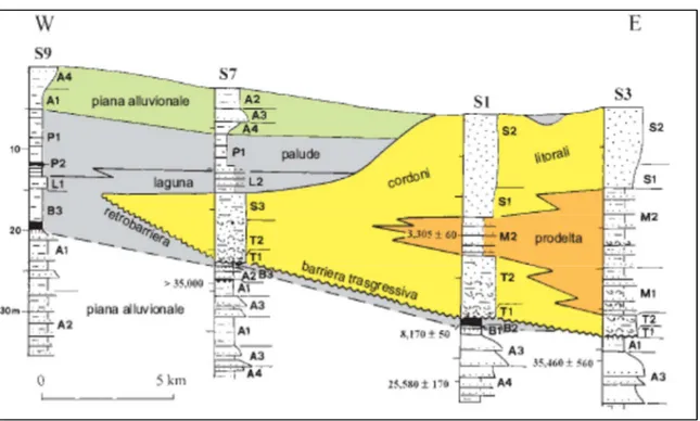 Fig. 2.4 – Stratigrafia del Subsintema di Ravenna nel settore centrale della pianura costiera  ravennate  sulla  base  di  correlazione  di  sondaggi  a  carotaggio  continuo  (da  Amorosi  et  al.,  2002)
