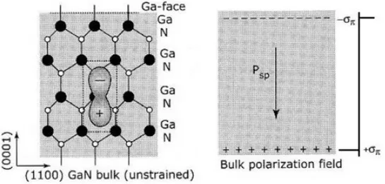 FIG. 1.4. Microscopic picture of spontaneous polarization in a free-standing GaN  slab [4]