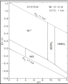 Figura 1.6 Diagramma pH- Eh per un sistema Ni-O-H-S (modificato da Gray, 1981). La concentrazione di piombo nella crosta terrestre è di circa 12 mg/kg, mentre nelle  acque  naturali  incontaminate  risulta  inferiore  a  1  μg/L