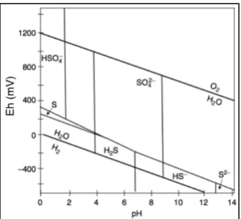 Figura 1.9  Diagramma pH- Eh di distribuzione delle specie dello zolfo in soluzione, a P=1  atm e T=25°C