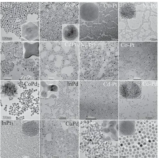 Figura 3-7 Illustrazione di nanoparticelle bimetalliche a base di Pd o Pt ottenute per riduzione indotta [20] 