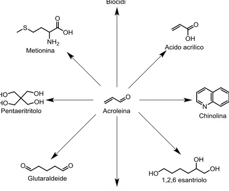 Fig. 1.13 Ciclo catalitico del sistema Bi-Mo-O per l’ossidazione del propilene ad acroleina